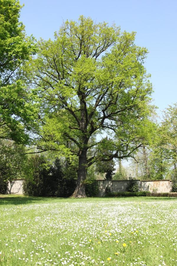 Storica Quercia B&B Nerviano Екстер'єр фото